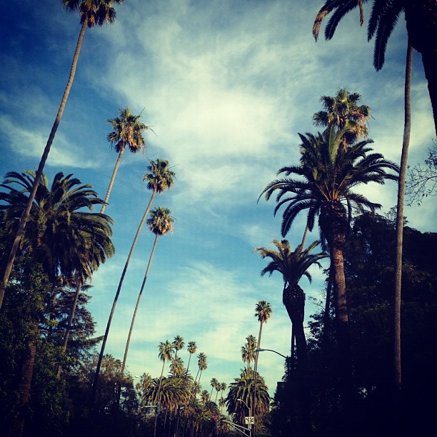 Access_Kardashian_065.jpg
