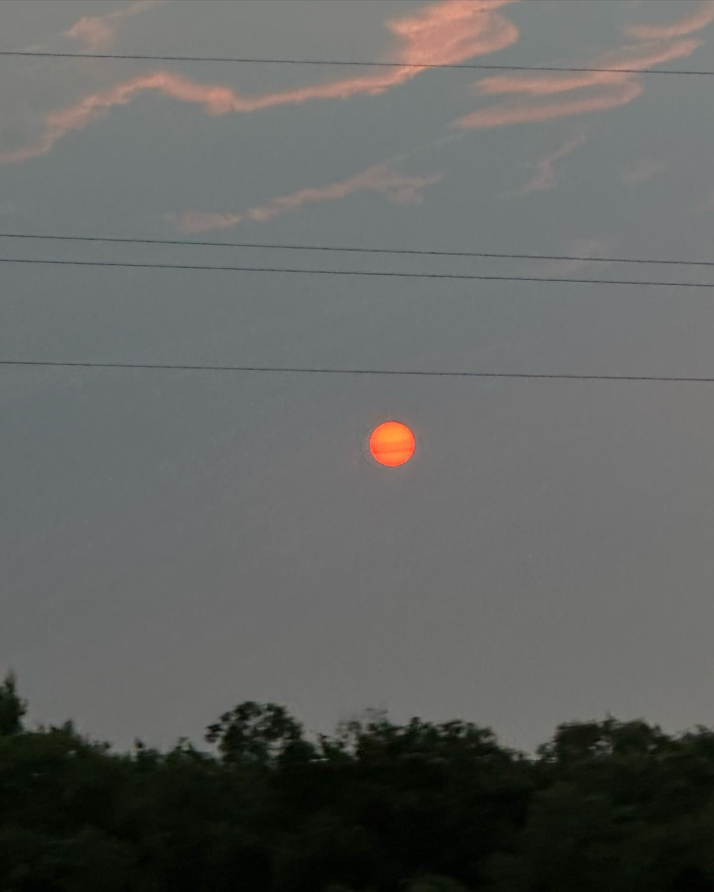 IMG_5169.jpeg