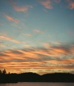 IMG_0174.jpeg