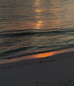 IMG_2288.jpeg