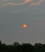 IMG_5169.jpeg