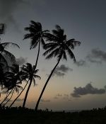 IMG_6099.jpeg