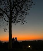 IMG_6215.jpeg
