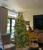 IMG_8193.jpeg
