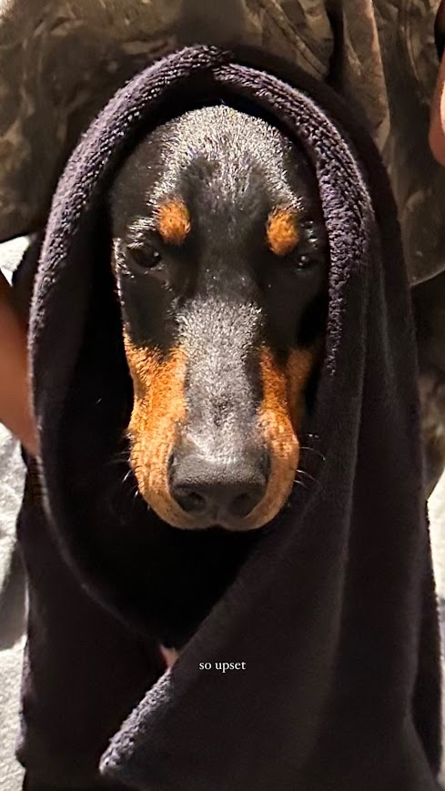 Access_Kardashian_1.JPG