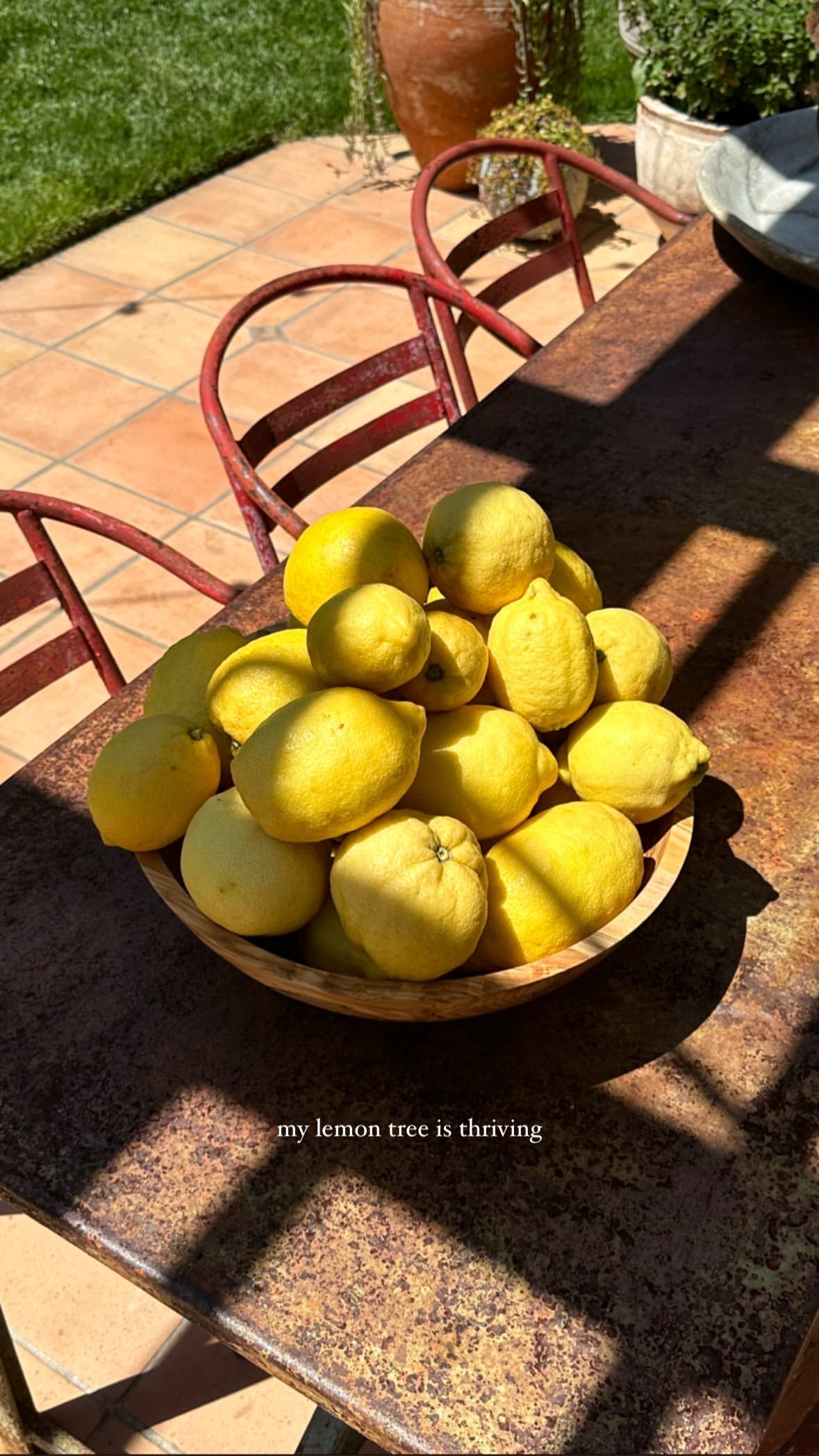IMG_2248.jpeg