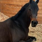 4F88CA5E-290B-49E0-893A-ACC3E1C439E3.jpeg
