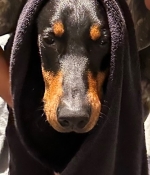 Access_Kardashian_1.JPG