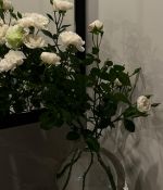 E0A7487D-B3B2-4EBB-BB8C-C7F1714AE586.jpeg