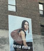 IMG_1442.jpeg