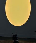 IMG_2338.jpeg