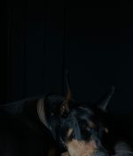 IMG_3995.jpeg