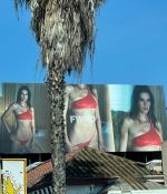 IMG_4096.jpeg