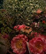 IMG_5586.jpeg