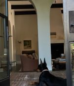 IMG_7978.jpeg