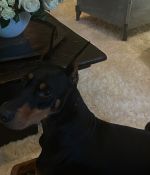 IMG_8617.jpeg
