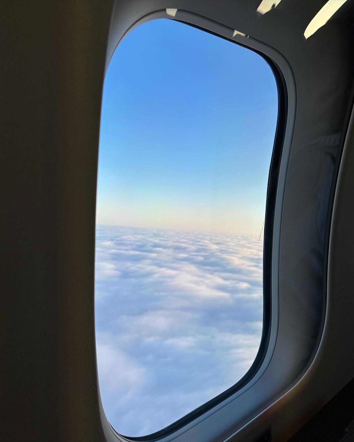 IMG_3653.jpeg
