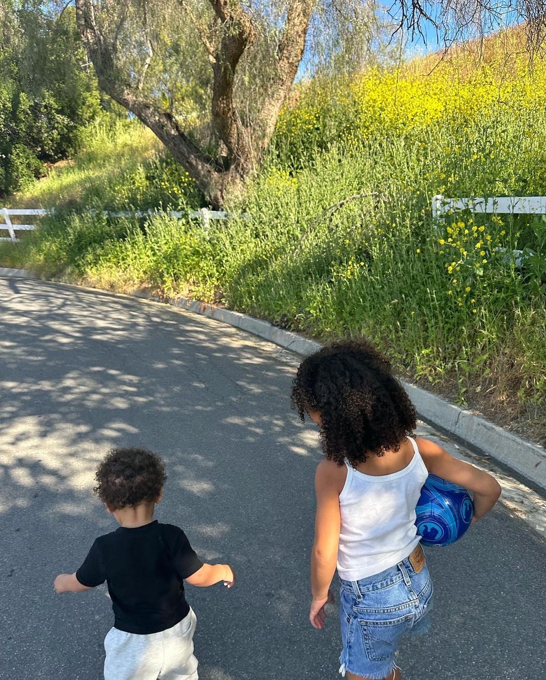 IMG_5660.jpeg