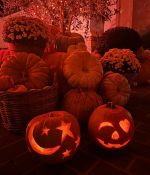 IMG_3805.jpeg