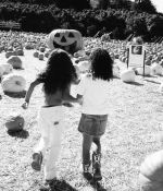 IMG_3807~0.jpeg