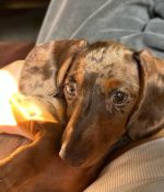 IMG_6165.jpeg