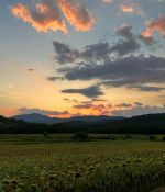 IMG_9312.jpeg