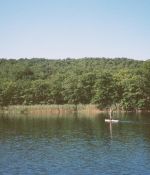 IMG_9689.jpeg