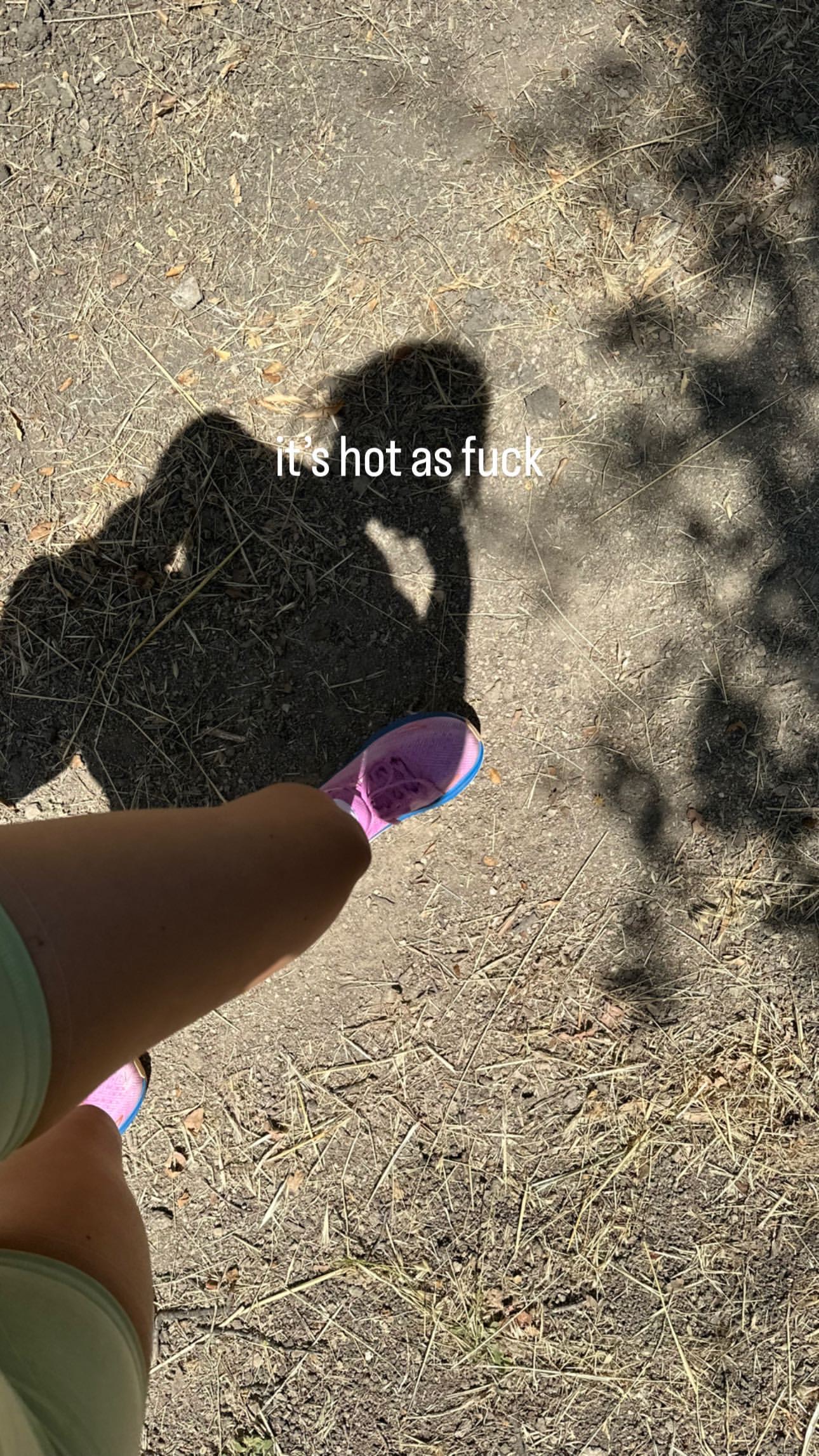 IMG_6712.jpeg