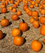 IMG_2827.jpeg