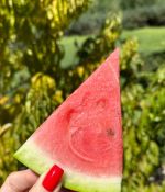 IMG_3857.jpeg