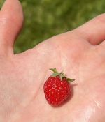 IMG_5297.jpeg