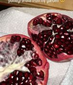 IMG_5789.jpeg