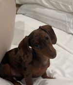IMG_5802.jpeg