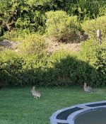 IMG_5980.jpeg