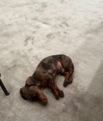 IMG_6250.jpeg