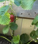 IMG_6565.jpeg
