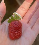IMG_6566.jpeg
