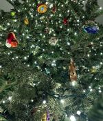 IMG_8455.jpeg