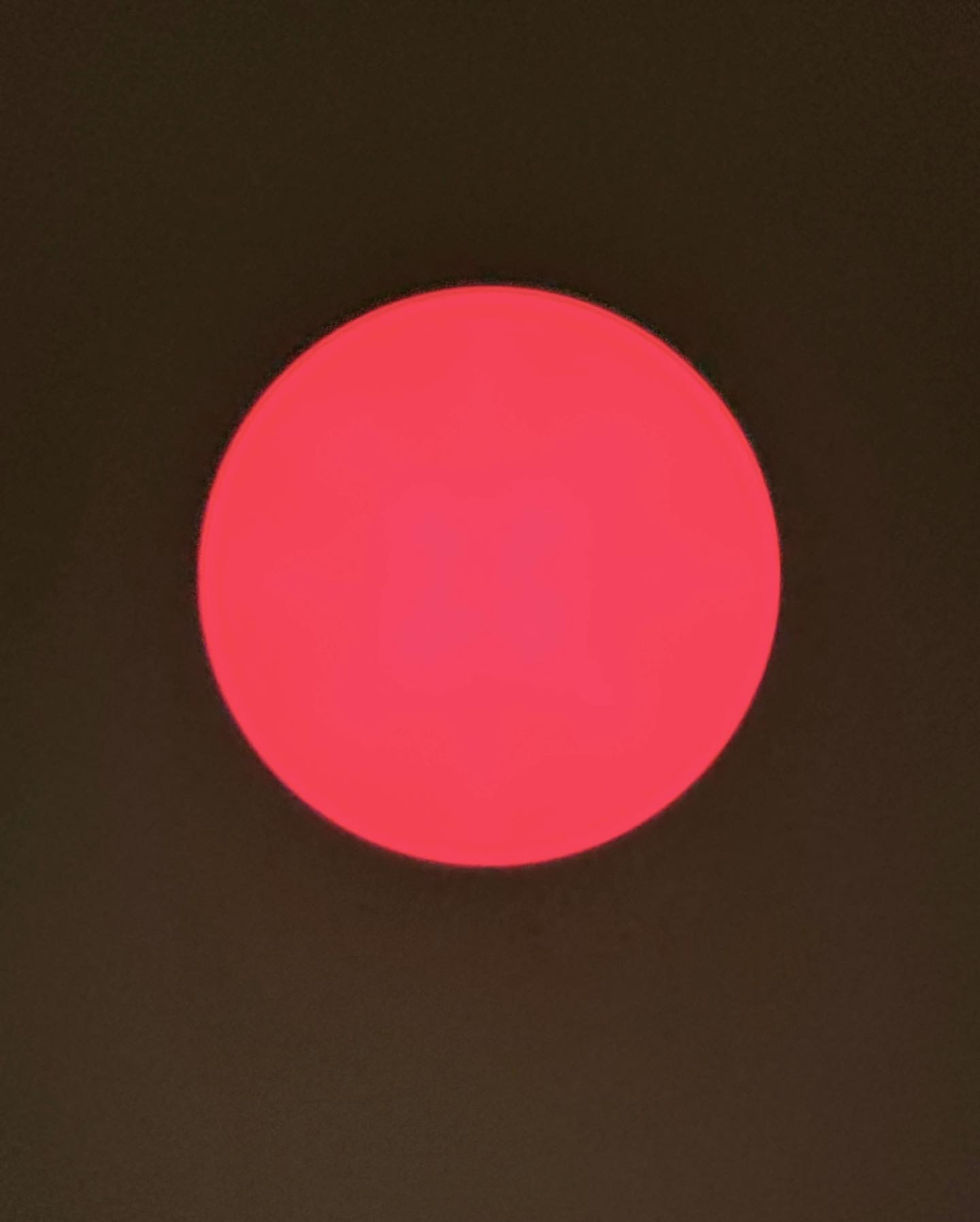 EF6A4731-4AEE-4CE2-A47D-87A567F839A2.jpeg