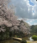 D2308898-49CE-4DD5-8141-F22C0AC5693E.jpeg