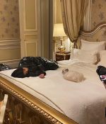IMG_0486.jpeg