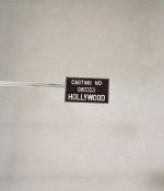 IMG_1923.jpeg