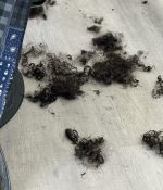 IMG_5153.jpeg