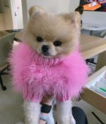 IMG_7005.jpeg