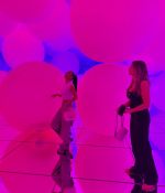 IMG_8399.jpeg