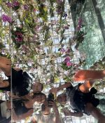 IMG_8402.jpeg