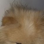 10995927-AD7D-466C-9B32-FB6E3BE0BF5C.jpeg
