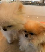 IMG_4608.jpeg
