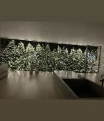 IMG_7566.jpeg