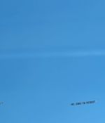 IMG_8768.jpeg